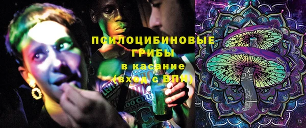 прущие крисы Беломорск