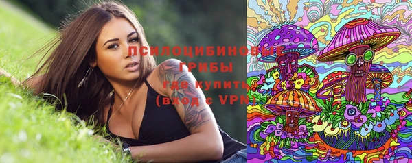 прущие крисы Беломорск