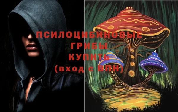 марихуана Белокуриха