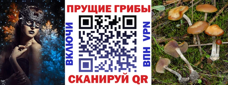 Галлюциногенные грибы Magic Shrooms  купить наркотик  Няндома 